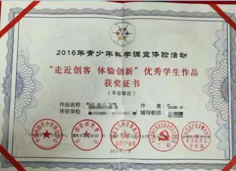 国内中小学生编程活动知多少？